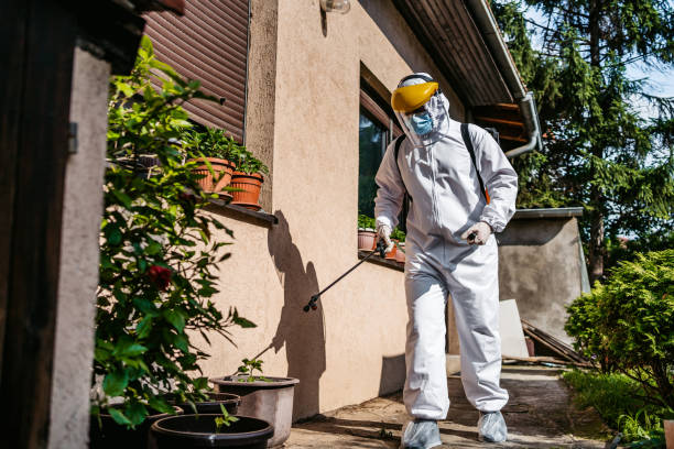 Reliable Twin Lakes, NM Pest Control Solutions