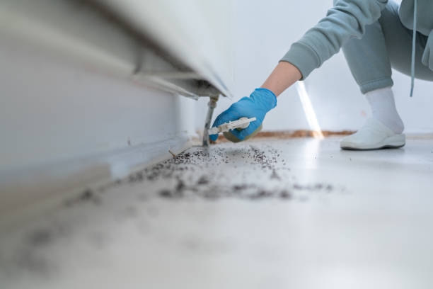 Pest Prevention Services in Twin Lakes, NM